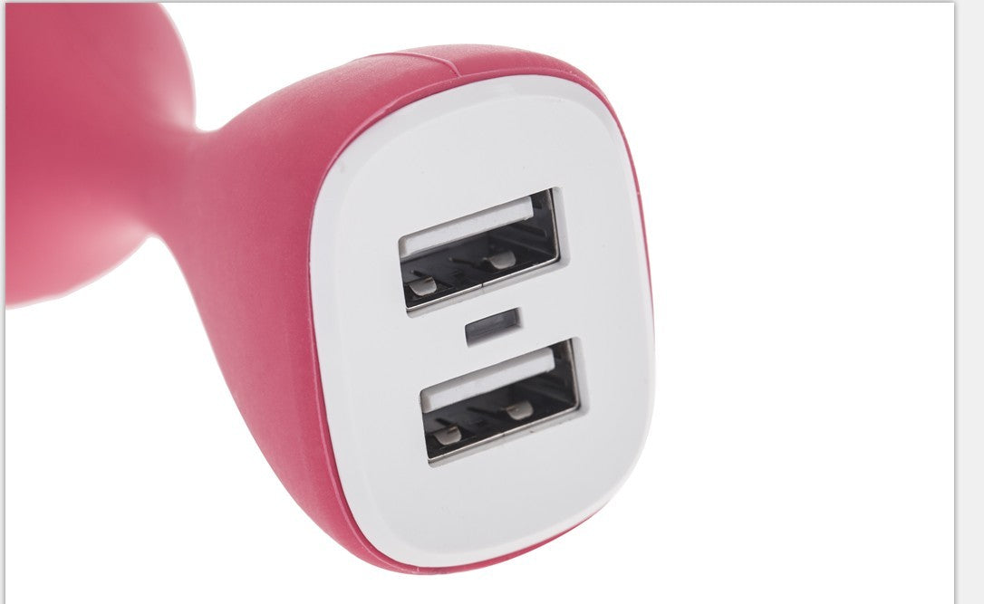 New style car charger