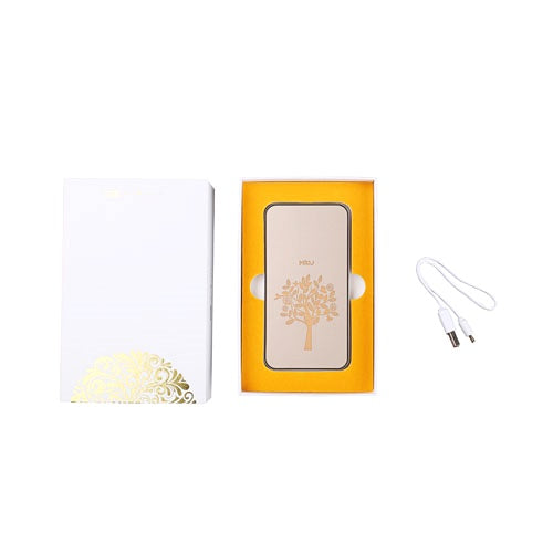 Metal LED Power Bank 5000 mAh