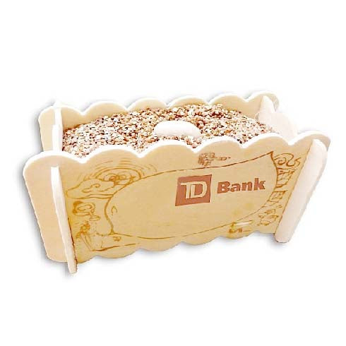 Magic bean in wooden box