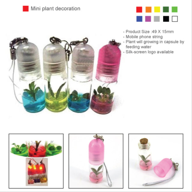 Mini plant decoration
