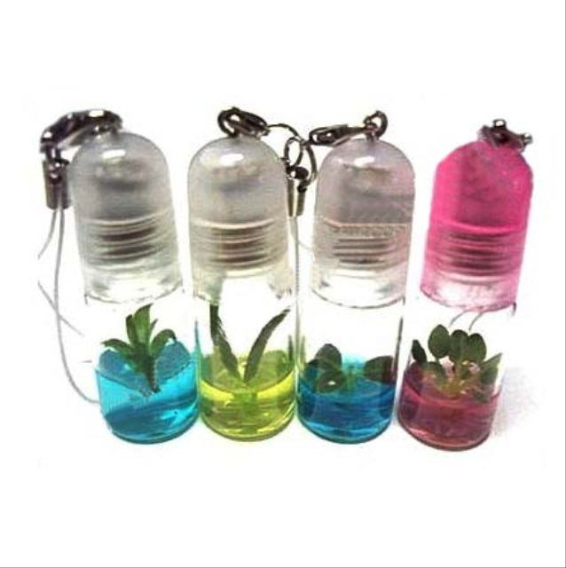 Mini plant decoration