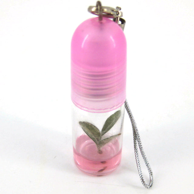 Mini plant decoration