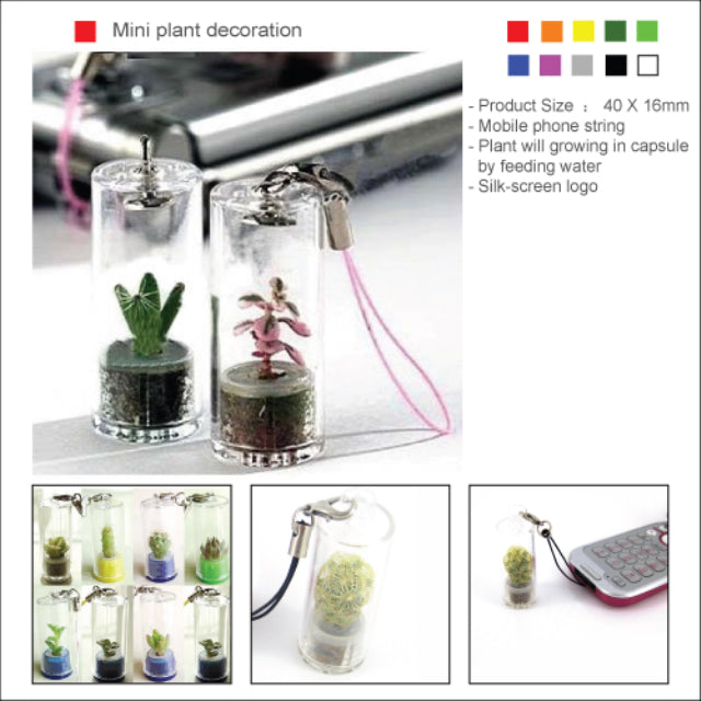 Mini plant decoration