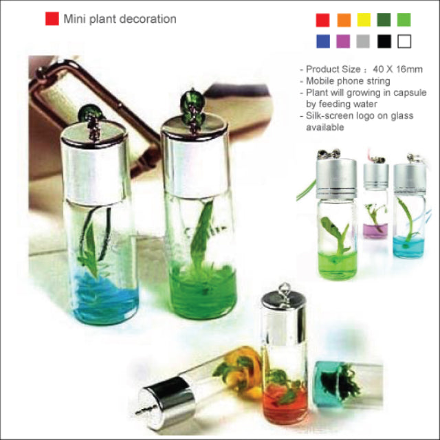 Mini plant decoration