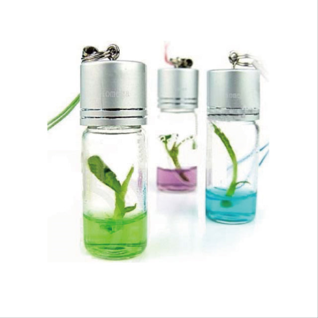 Mini plant decoration