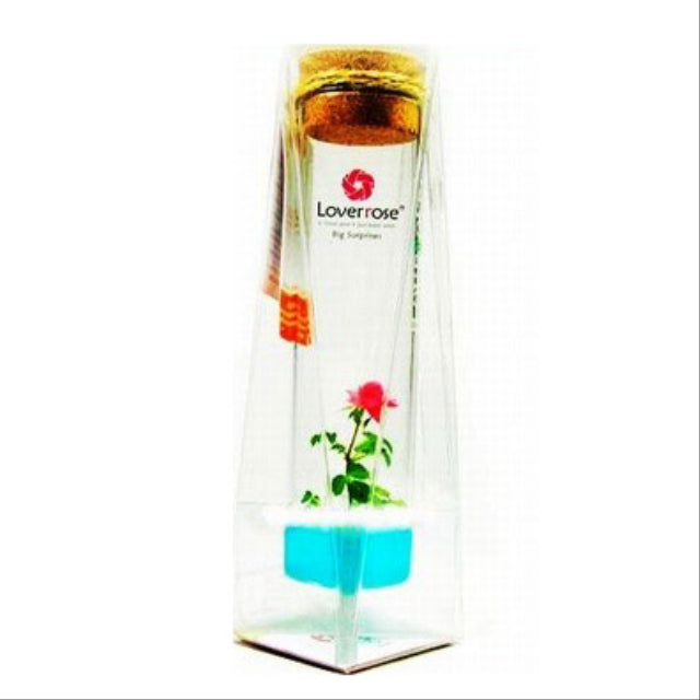 Finger flower with metal stand