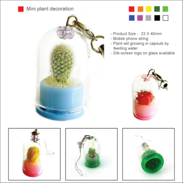 Mini plant decoration