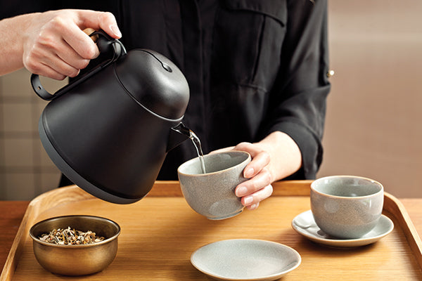 Teako tea pot (P263.051)
