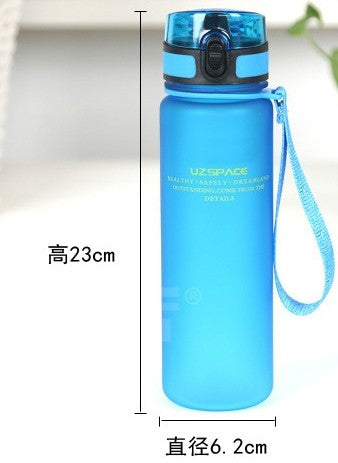 Plastic water bottle500ml