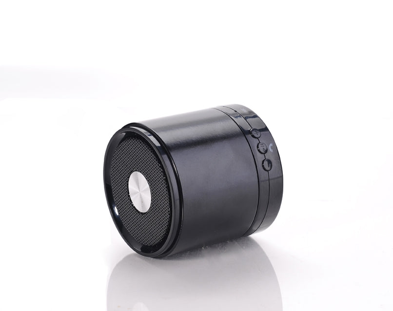 Portable Bluetooth speaker