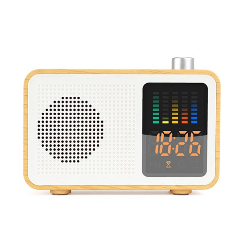 Radio Wireless Speaker