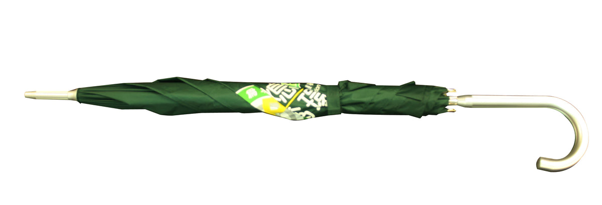 Regular straight umbrella