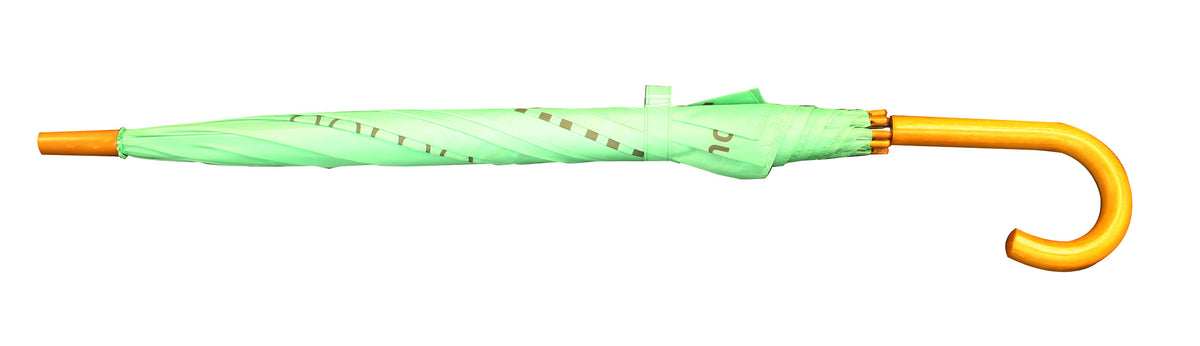 Regular straight umbrella