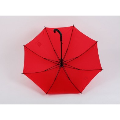 Regular straight umbrella with plastic case