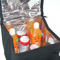 Travel cooler bag
