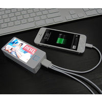 Powerbank-?BrandCharger