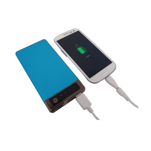 Dual USB mobile battery charger with torch 8000 mAh (power bank)