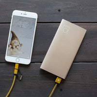 Solove power bank 10000mAh-A9