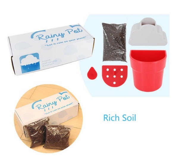 Rainy Pot