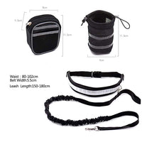 Elastic hands free dog leash