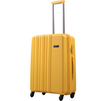 20" Trolley Luggage case