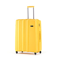 22" Trolley Luggage case