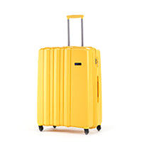 30" Trolley Luggage case