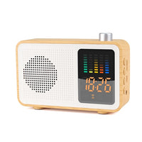 Radio Wireless Speaker