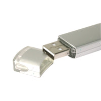 Plastic case USB stick