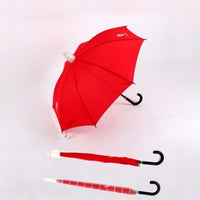 Regular straight umbrella with plastic case